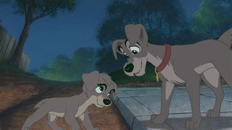Lady And The Tramp 2 Lady And The Tramp 2 Screencaps Lady And The