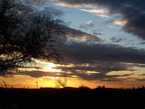 Free Images Nature Horizon Silhouette Cactus Cloud Sky Sun