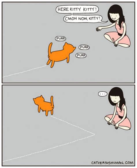 This Comics Perfectly Sums Up A Life With A Cat Pics Izismile Com