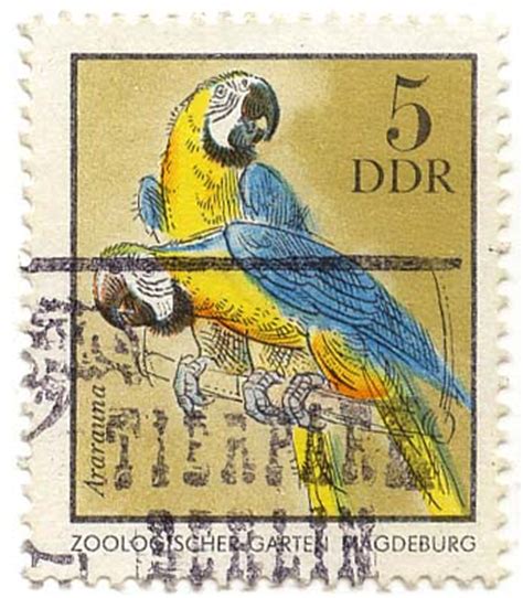 Zoologische gärten im branchenbuch für magdeburg: Zoologischer Garten Magdeburg - Ararauna / DDR 1975