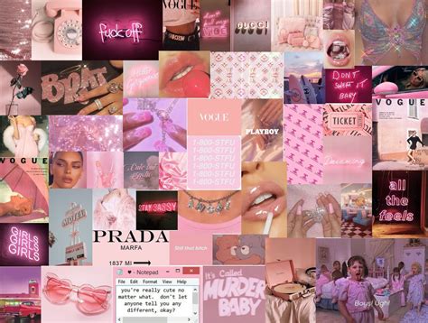 Pink Baddie Aesthetic Collage Wallpaper Laptop Dierenambulanceverhalen