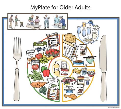 Tufts University Nutrition Scientists Unveil Myplate For Older Adults