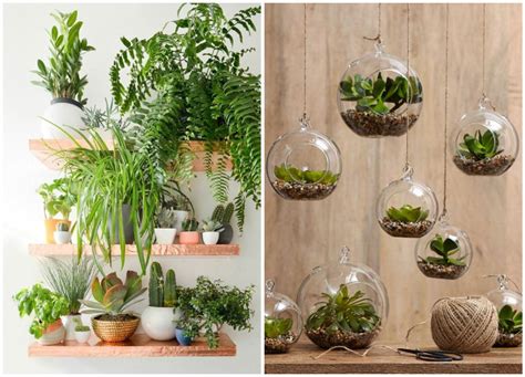 Add greenery to your house to create a friendly and inviting living space. Decorate your home with indoor plants, 5 easy home decor ...