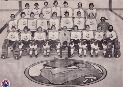 Richmond Robins Team Photo 1975 American Hockey League Hockeygods