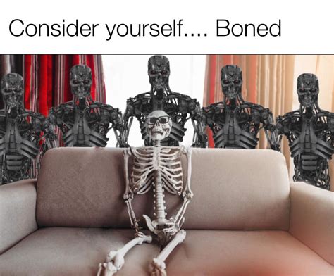 Bones Bones Bones Rmemes
