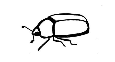 Fly Bug Insect Clip Art Vectors Graphic Art Designs In Editable Clip