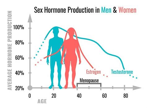 Male Hormone Cycles Are They Real