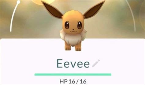 Pokemon Go Eevee Evolutions Guide How To Get Every Eevee Evolution In