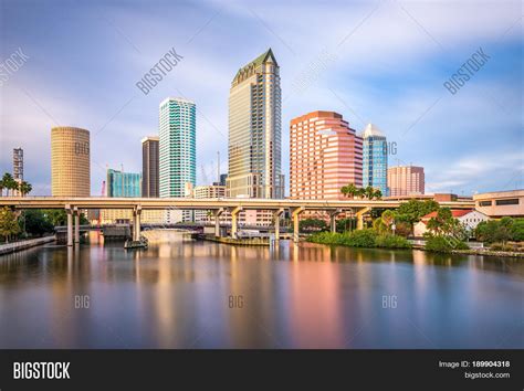 Tampa Florida Usa Image And Photo Free Trial Bigstock
