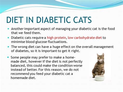 What's the best cat food for diabetic cats? Best Cat Food For Diabetic Cat