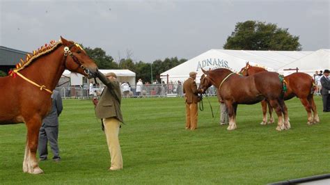 Suffolk Show Cancelled Over Covid 19 Uncertainty Bbc News