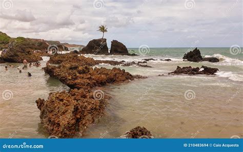 Famosa Playa De Tambaba En Paraiba Brasil Foto De Archivo Imagen De Arena Coco