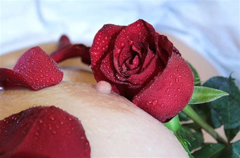 Fotoğraf çiçek taçyaprağı ıslak gül Gıda kırmızı üretmek pembe tatlı çilek çıplak