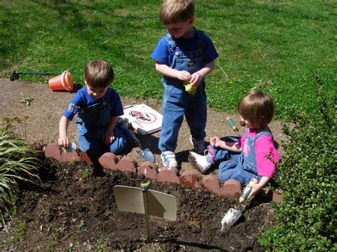All About The Kids Planting Seeds