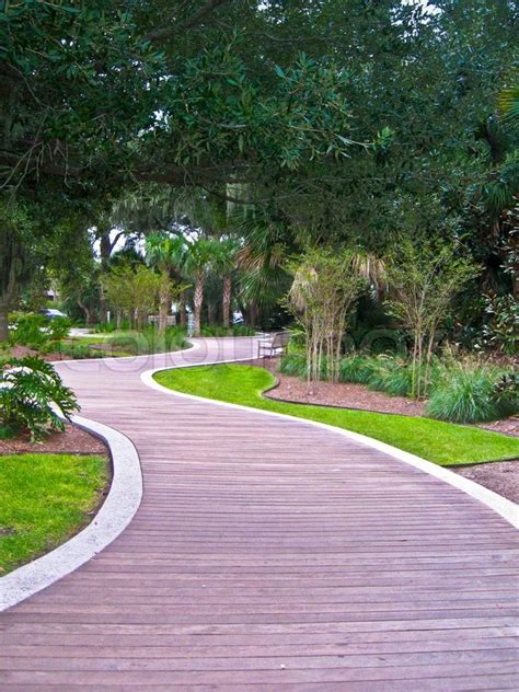 Wooden Path In A Tropical Park Stock Photo Colourbox