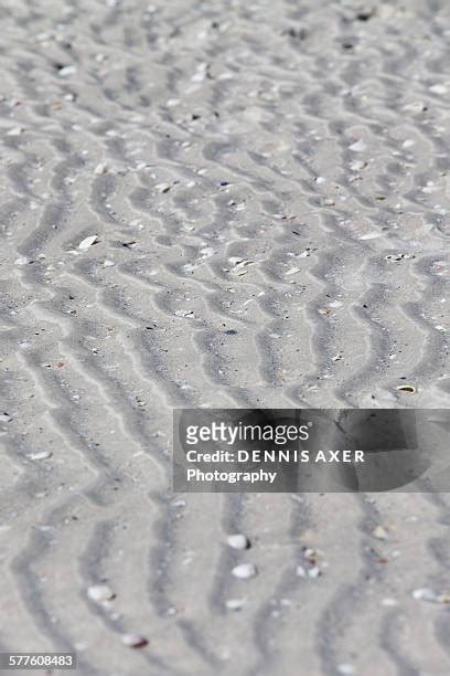 Ocean Floor Sand Photos And Premium High Res Pictures Getty Images