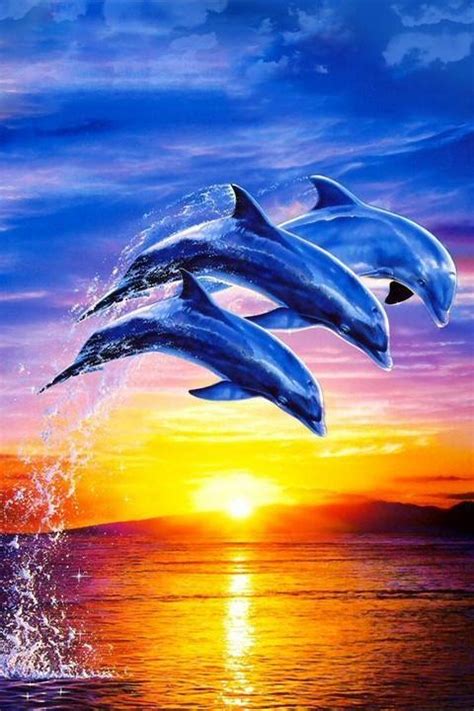 Free 3d Dolphin Wallpaper Wallpapersafari