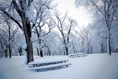 Park Benches Covered In Snow Snow Pictures Winter Scenes Snow