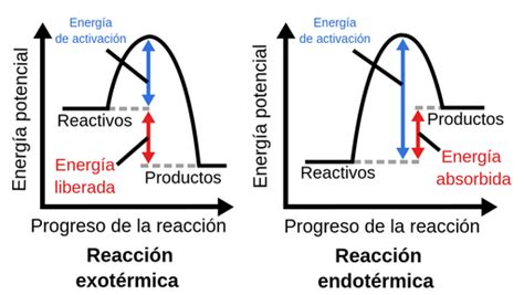 Reacciones Exotérmicas Y Endotérmicas Labster Theory