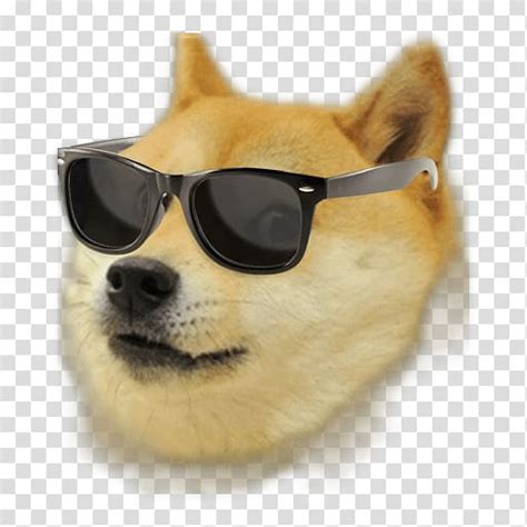Dog Wearing Sunglasses Meme Meme Dogs