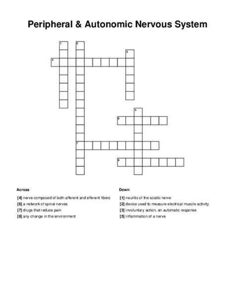Peripheral And Autonomic Nervous System Crossword Puzzle