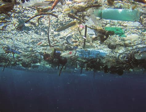 Plastics In The Ocean How They Get There Their Impacts And Our