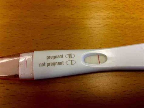 First Response Pregnancy Tests Qustabc