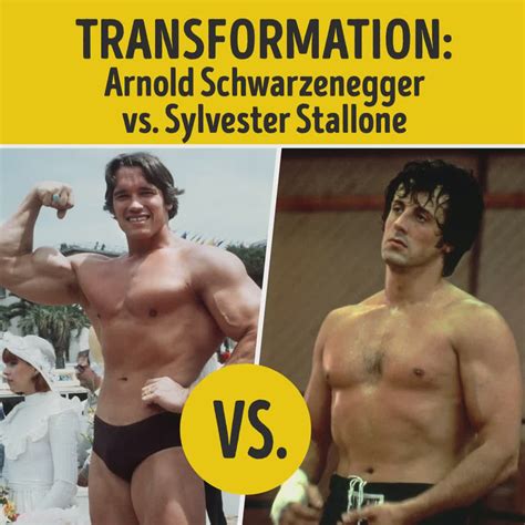 transformation arnold schwarzenegger vs sylvester stallone arnold schwarzenegger sylvester