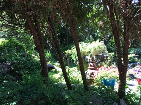 Linmar Garden - Madison Road Trip