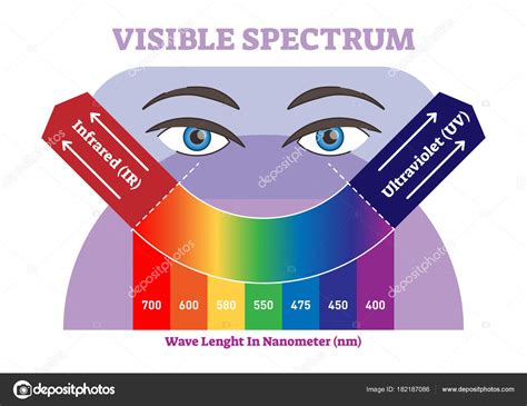 Visible Spectrum Vector Illustration Diagram Color Scheme From