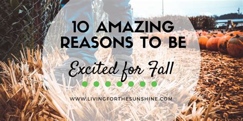 10 Amazing Reasons To Be Excited For Fall Living For The Sunshine