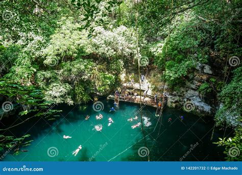 Natural Sinkhole At Yucatan Stock Photo Image Of Trunk Scenics