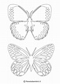 Sagome di Farfalle da Stampare e Ritagliare | PianetaBambini.it