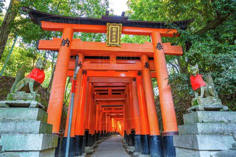 Thousand Vermilion Torii Gates Of The Shinto Sanctuary Of Fushimi Inari