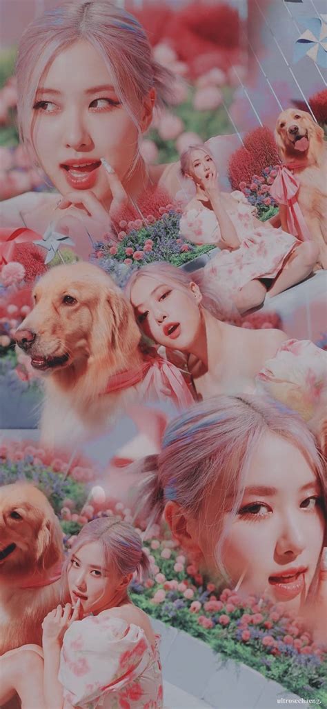 You can also upload and share your favorite blackpink pc wallpapers. kaé on Twitter in 2020 | Blackpink photos, Blackpink rose ...