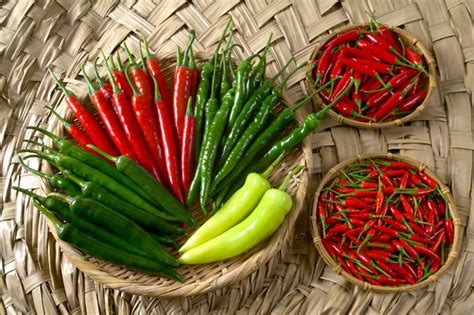 How To Cook With Spicy And Hot Peppers Foodal