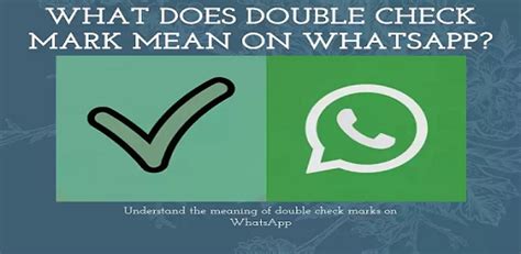 Understanding Whatsapps Check Marks Your Complete Guide To Message Status