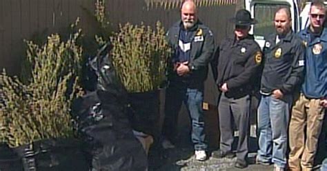 cops dea break up record 10 mil pot operation in sullivan county cbs new york