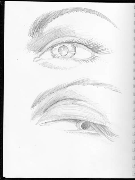 Basic Eye Drawing At Getdrawings Free Download