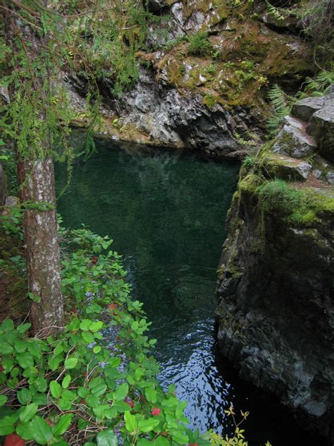 Maybe you would like to learn more about one of these? Jawbone Flats - Opal Pool - Oregon Dive Sites