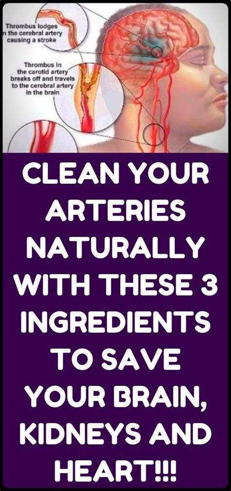 how to clean out plaque in arteries 3 ingredients mixture health health advice health