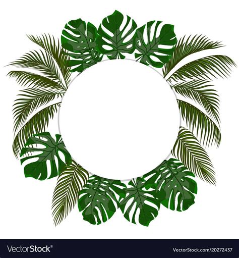 green leaves of tropical palms in a circle vector image on vectorstock flower frame tropical