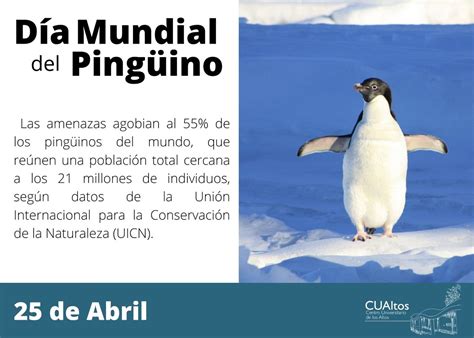 cocina lluvia O información de los pingüinos Dependencia Diversidad Denso