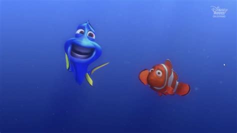Funny Scene Finding Nemo Youtube