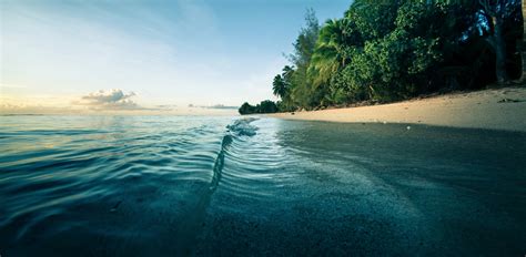 Sea Nature Morning Sunlight Waves Palm Trees Water Sand Liquid