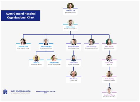 Hospital Organizational Chart Explained With Examples Edrawmax Online