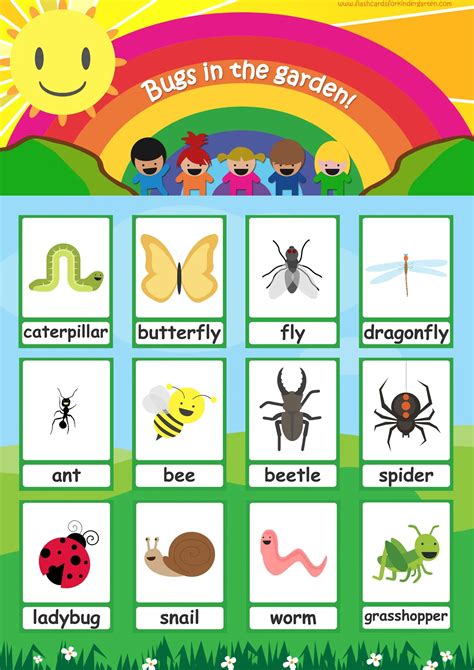 Bugs Flashcards Simple Insect Flashcards For Your Classroom
