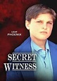 Secret Witness - Film 1988 - FILMSTARTS.de
