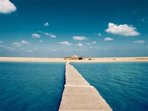 Djerba Island Tunisia Beautiful Places To Visit Africa Travel Tunisia