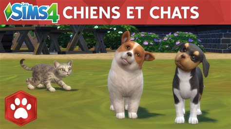 Les Sims 4 Chiens Et Chats Bande Annonce Officielle De Sortie Youtube